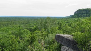 View of limestone cliffs and trees