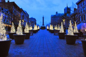 Potted white christmas trees