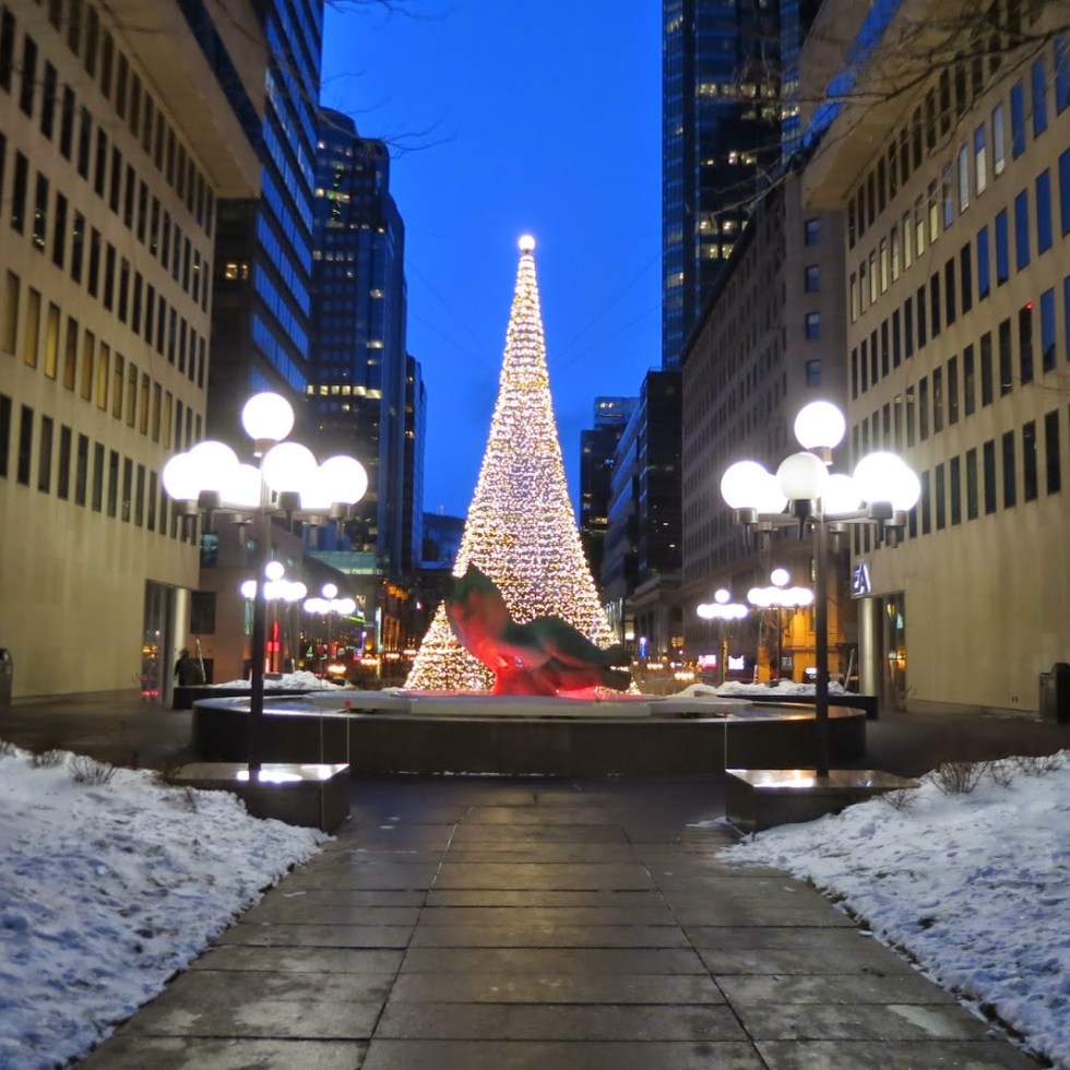 Tree of light between office buildings