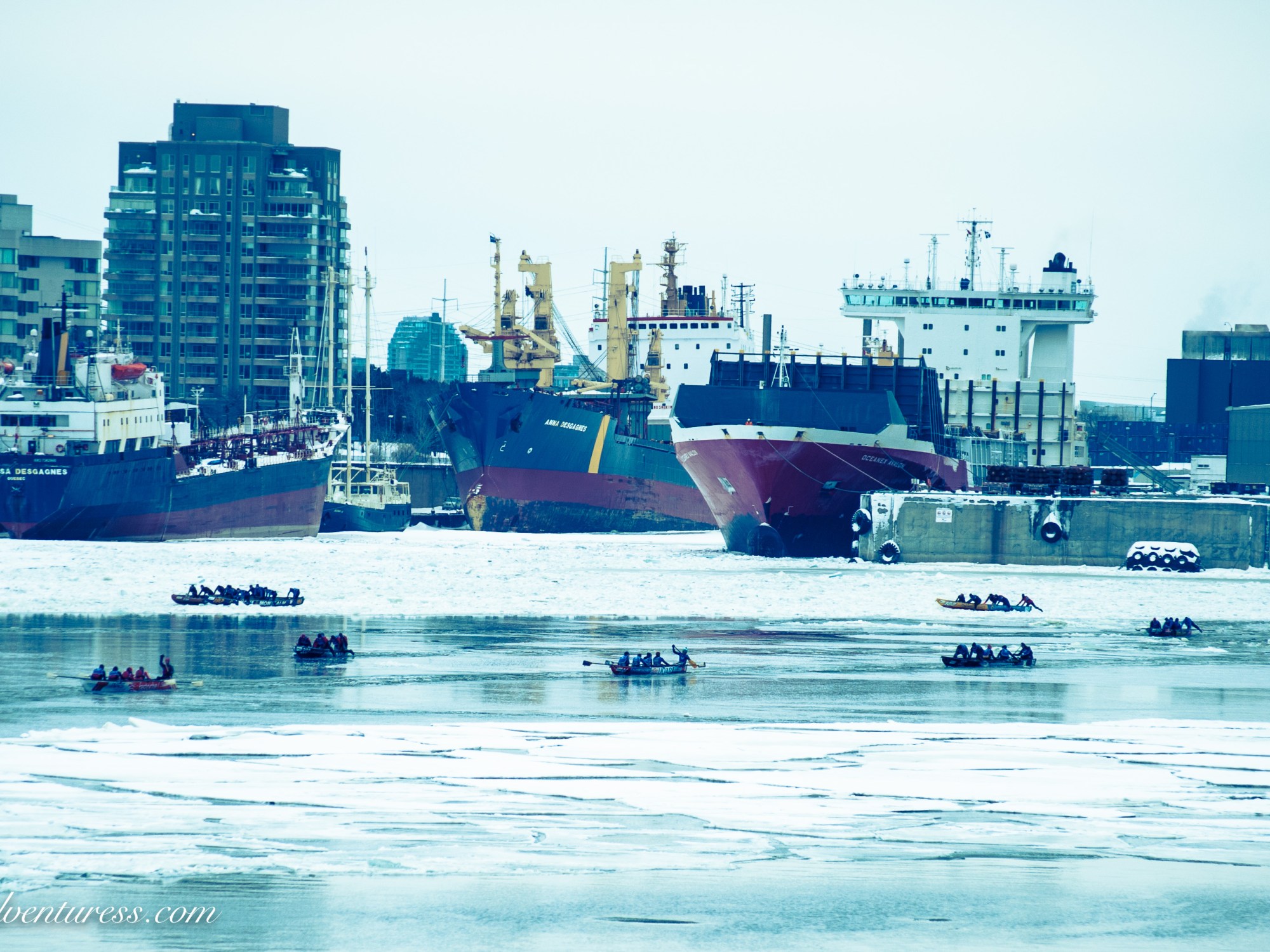 Ice Canoe Racing in Montreal's Old Port