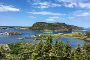 Rocks forest ocean of Salvage Newfoundland