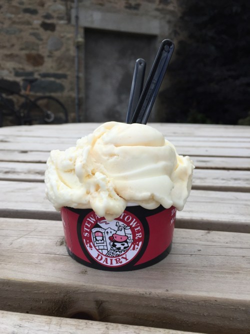 Ice cream in Stewart Tower Dairy cup